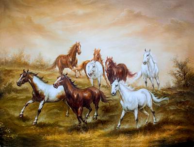 Horses 011